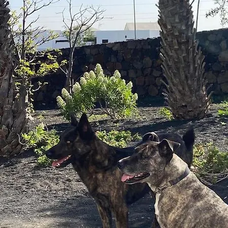 Casa Kira Camarote, Macher Appartement