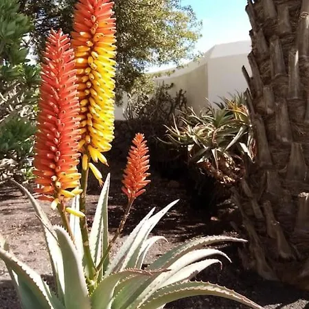 Casa Kira Camarote, Macher Tías